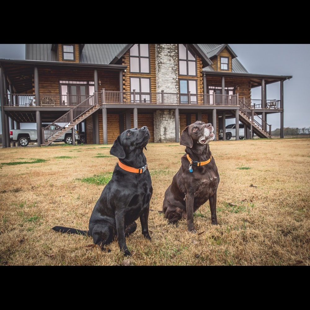 Meet your Posher, Trasie